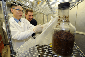 Dr. Yebo Li and Clemens Halene in the Lab. Photo courtesy of Ken Chamberlain