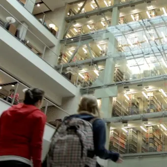 students looking up in the library