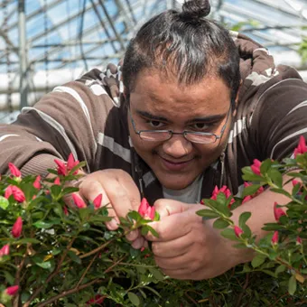 man in greenhouse looking at individual flowers