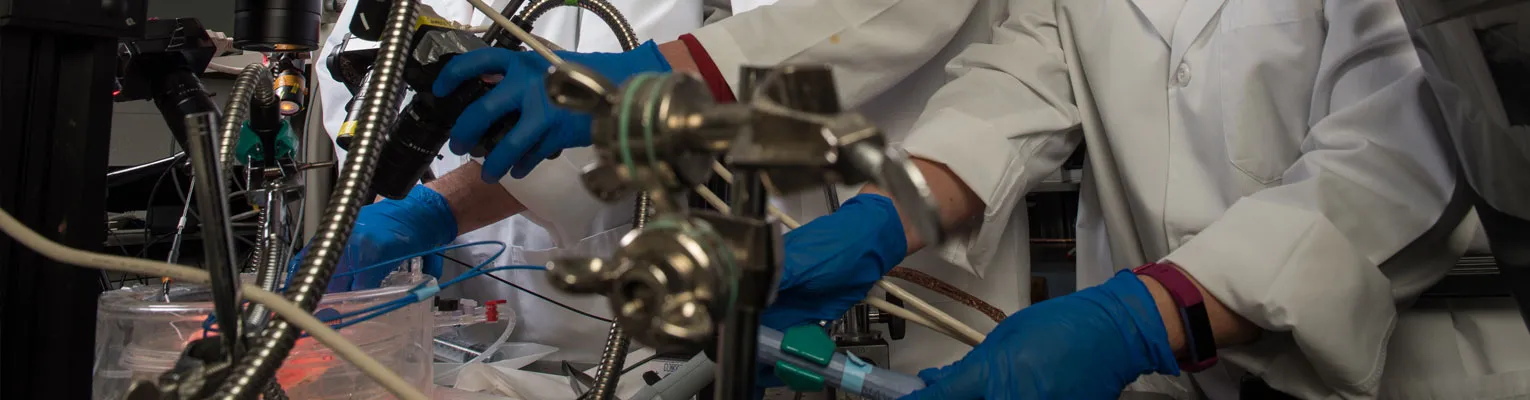 Vadim Fedorov and students in the lab