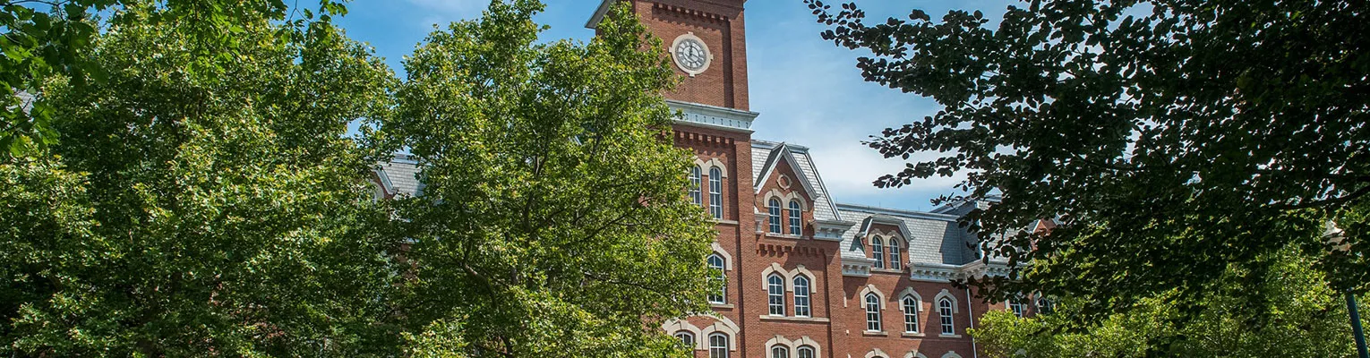 trees in front of University Hall in the background