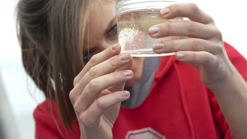 Women wearing a buckeye shirt looking into a small container of water