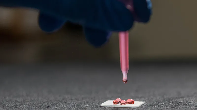 gloved hand holding a dropper dropping liquid to a slide