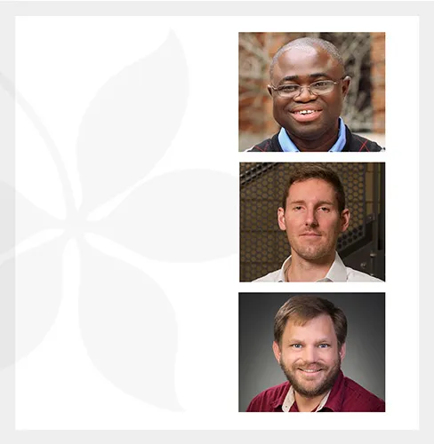 Early Career Innovator Finalists collage