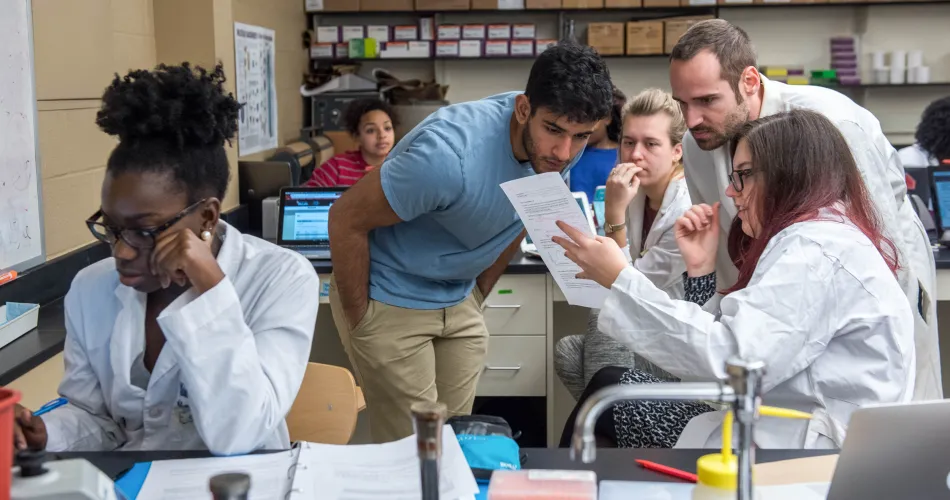 Students collaborate in a microbiology class