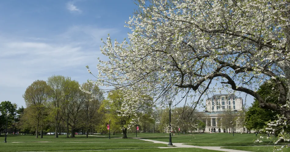 Spring day on the Oval with library in the background