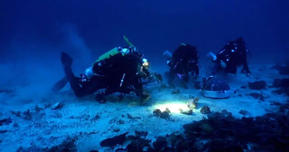 divers scuba diving looking at coral