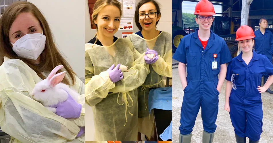 student holding a bunny, students holding mice, Students on the farm