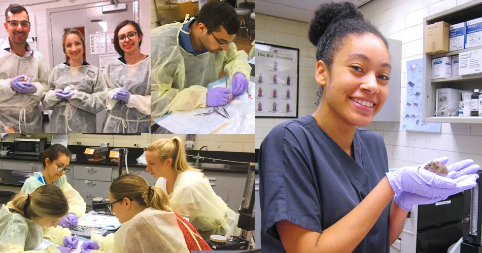 students learning to use the animal labs